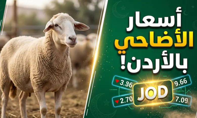 كم بلغ سعر الأضحية في الأردن 2026؟.. أرقام غير متوقعة تشعل الأسواق
