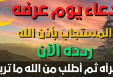 دعاء يوم عرفة 2026 PDF كامل من مفاتيح الجنان.. أفضل أدعية يوم عرفة المستجابة للرزق والمغفرة