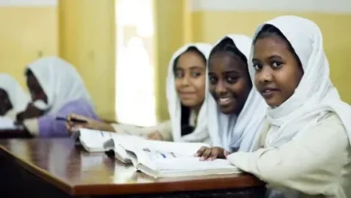 ظهرت الآن نتيجة الشهادة المتوسطة شمال كردفان 2026 عبر nateeja.sudani.sd وأوائل الطلاب