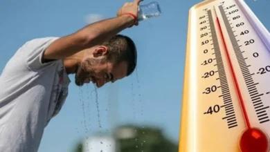 حالة الطقس في مصر غدًا 31 مايو 2026.. حرارة وسحب ضبابية تؤثر على الرؤية