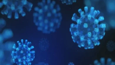 الولايات المتحدة ترفع حالة التأهب بعد تسجيل إصابة جديدة بفيروس إيبولا