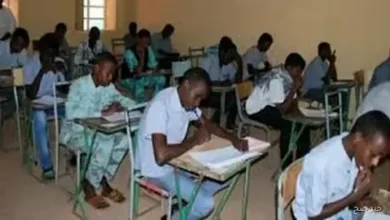 استعلم الآن عن نتيجة الشهادة المتوسطة شمال كردفان 2025-2026 برقم الجلوس عبر الرابط الرسمي وخطوات فورية ومباشرة
