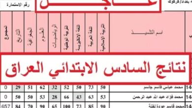رابط نتائج السادس الابتدائي 2026 من موقع نتائجنا بالرقم الامتحاني مباشر