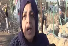 فيديو شاب جزائري يهاجم سيدة يشعل الجدل بعد دخولها سوق المواشي