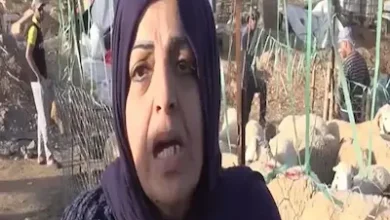 فيديو شاب جزائري يهاجم سيدة يشعل الجدل بعد دخولها سوق المواشي
