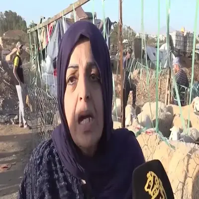 فيديو شاب جزائري يهاجم سيدة يشعل الجدل بعد دخولها سوق المواشي