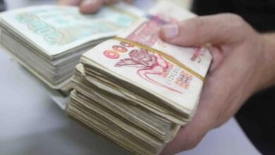 تثمين معاشات المتقاعدين 2026 عبر reval.cnr.dz.. اكتشف قيمة الزيادة وطريقة حسابها بالتفصيل