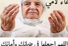 دعاء للأم المتوفية في يوم التروية 2026.. أدعية مؤثرة ترفع الدعاء إلى السماء