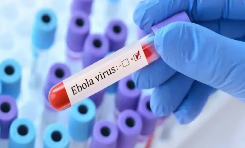 مصر تعلن حالة التأهب القصوى لمواجهة فيروس إيبولا وتؤكد خلو البلاد من الإصابات