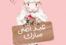قبل شراء الأضحية 2026.. أهم شروط اختيار الماشية السليمة لضمان أضحية صحيحة