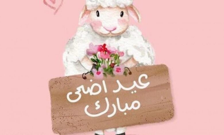 قبل شراء الأضحية 2026.. أهم شروط اختيار الماشية السليمة لضمان أضحية صحيحة