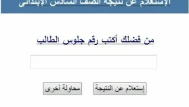 استعلم الآن.. نتيجة الصف السادس الابتدائي الترم الثاني 2026 بالاسم ورقم الجلوس