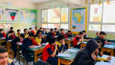 رابط نتيجة سنوات النقل 2026 بالقاهرة لجميع الصفوف الابتدائية والإعدادية وطريقة الاستعلام بالرقم القومي