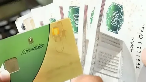 وزارة التموين تعلن تمديد صرف منحة الدعم الإضافي للأسر الأولى بالرعاية وتفاصيل الفئات المستحقة 2026