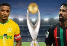 الجيش الملكي ضد صن داونز في نهائي دوري الأبطال 2026.. الموعد والقنوات الناقلة وكل التفاصيل