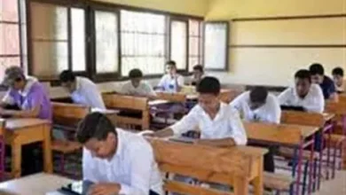نتيجة سنوات النقل 2026 بالقاهرة برقم الجلوس.. رابط بوابة التعليم الأساسي الرسمي للاستعلام لجميع المراحل الدراسية
