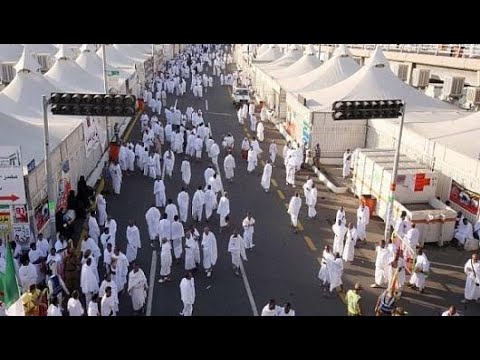 مبادرة طريق مكة تكشف آلية جديدة لاستعراض تصاريح الحج عبر توكلنا قبل السفر لتسهيل إجراءات الحجاج وضمان رحلة أكثر سلاسة وتنظيماً