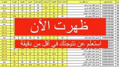 ظهرت الآن نتائج الصف السادس الابتدائي 2023 الترم الثاني برقم الجلوس في جميع المحافظات