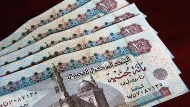 موعد صرف منحة تكافل وكرامة 400 جنيه 2026 في مصر وخطوات الاستعلام الرسمي