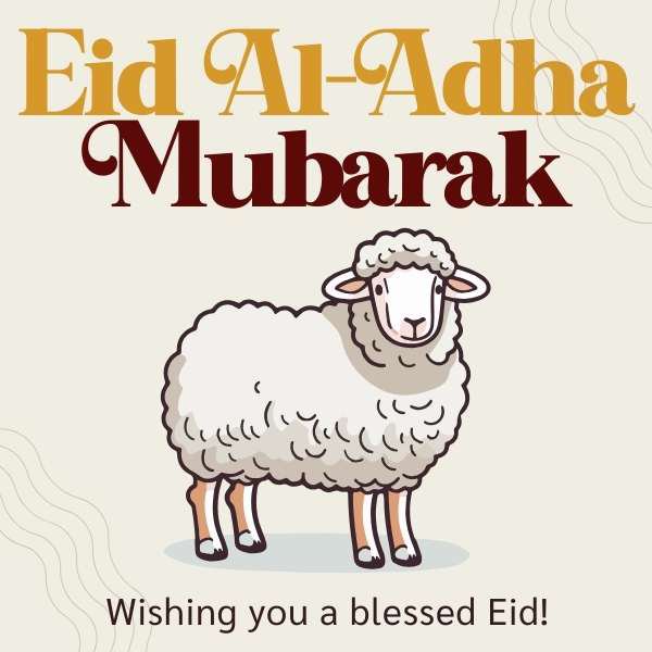 أجمل رسائل تهنئة عيد الأضحى 2026 مكتوبة.. كلمات مؤثرة للعائلة والأصدقاء والأحباب
