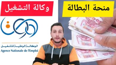 كيفية استرجاع منحة البطالة بعد التوقف عبر منصة إنصات insat.anem.dz بطريقة مضمونة وسريعة