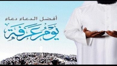 أدعية يوم عرفة 2026 مكتوبة كاملة وأفضل صيغ الدعاء المستجاب في يوم الوقوف بعرفة