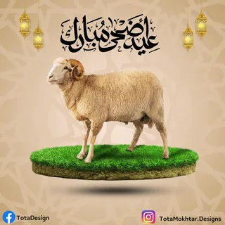 أفضل رسائل تهنئة عيد الأضحى 2026 للأهل والأصدقاء وأجمل عبارات المعايدة المكتوبة