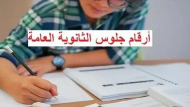 رابط استعلام أرقام جلوس الثانوية العامة 2026.. الموعد الرسمي والخطوات