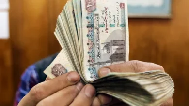 موعد صرف معاشات يوليو 2026 في مصر وتفاصيل الزيادة الجديدة وقيمة المعاشات بعد التحديث
