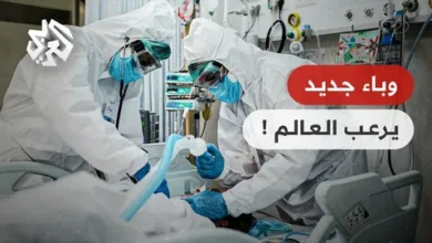 هل بدأ الخطر العالمي؟.. انتشار فيروس هانتا وخريطة الدول المصابة بعد إعلان إسبانيا