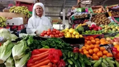 أسعار الخضروات والفاكهة اليوم في سوق العبور 2026.. تباين واضح بين الأصناف وتحديثات البيع بالجملة