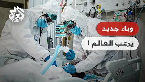 هل بدأ الخطر العالمي؟.. انتشار فيروس هانتا وخريطة الدول المصابة بعد إعلان إسبانيا
