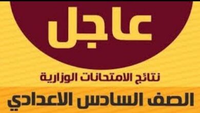 رابط نتائج السادس الابتدائي 2026 العراق كركوك وديالى PDF موقع نتائجنا مباشر الآن