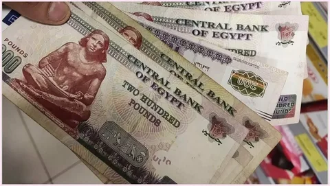 رسميًا.. تفاصيل منحة العمالة غير المنتظمة 2026 والفئات المستحقة للصرف