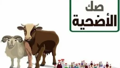 كيف تشتري صك الهدي في الحج 2026 إلكترونياً بأفضل سعر وخطوات بسيطة