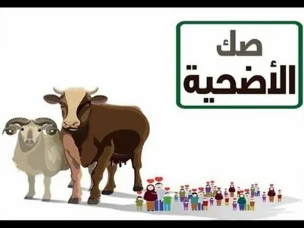 كيف تشتري صك الهدي في الحج 2026 إلكترونياً بأفضل سعر وخطوات بسيطة