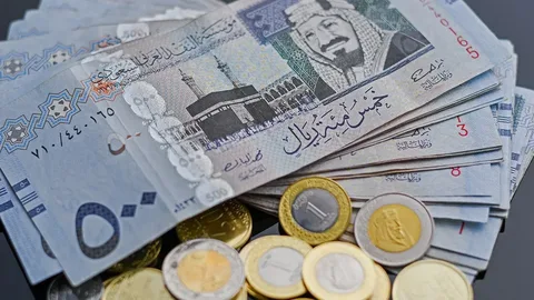 سعر الريال السعودي اليوم في مصر الأحد 21 يونيو 2026.. تحديث لحظي في البنوك والسوق السوداء وكم وصل داخل البنك الأهلي؟