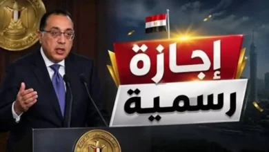 موعد إجازة 30 يونيو 2026 في مصر للقطاعين الحكومي والخاص.. التفاصيل الكاملة