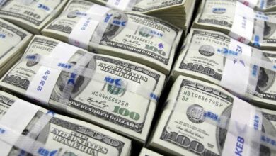 سعر الدولار اليوم في مصر السبت 20 يونيو 2026 أمام الجنيه بالبنوك المصرية.. تحديث لحظي