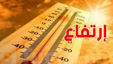 طقس شديد الحرارة يسيطر على مصر.. شبورة صباحية وتحذيرات حتى الأربعاء ودرجات تقارب 44 بالصعيد