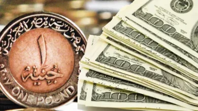 سعر الدولار اليوم في مصر الثلاثاء 2 يونيو 2026.. كم سجل “الأخضر” في البنوك والسوق السوداء؟