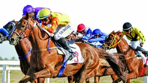 الطائف تستعد لاستقبال موسم سباقات الخيل 2026.. جوائز مليونية وفرص تنافسية كبيرة