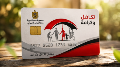 استعلم الآن عن معاش تكافل وكرامة 2026 بالرقم القومي.. خطوات معرفة حالة البطاقة وموعد الصرف