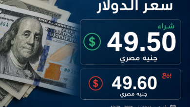 سعر الدولار مقابل الجنيه اليوم الثلاثاء 2 يونيو 2026 في البنوك المصرية الآن