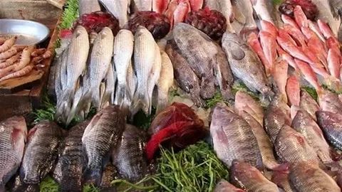 أسعار الأسماك اليوم في سوق العبور.. البوري والكابوريا يواصلان الارتفاع