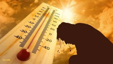 موجة حارة تضرب مصر غدًا.. الأرصاد تحذر من ارتفاع درجات الحرارة في جميع المحافظات