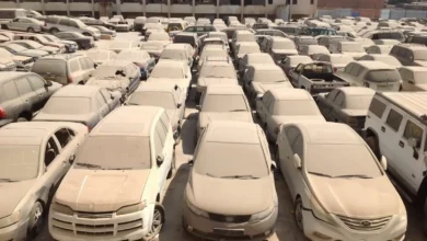 تفاصيل أكبر مزاد سيارات في مصر.. مشاركة البنك الأهلي وبنك مصر تثير اهتمام المواطنين