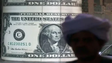 تراجع سعر الدولار مقابل الجنيه المصري اليوم الأحد 14 يونيو 2026.. هل يواصل الهبوط؟