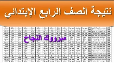 نتيجة الصف الرابع الابتدائي الترم الثاني 2026.. خطوات الاستعلام الرسمية ورابط الحصول على الدرجات فور إعلانها
