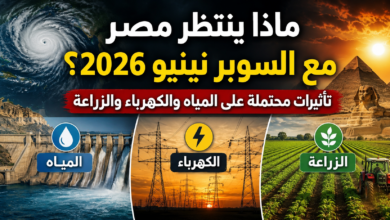 ماذا ينتظر مصر مع السوبر نينيو 2026؟.. تأثيرات محتملة على المياه والكهرباء والزراعة